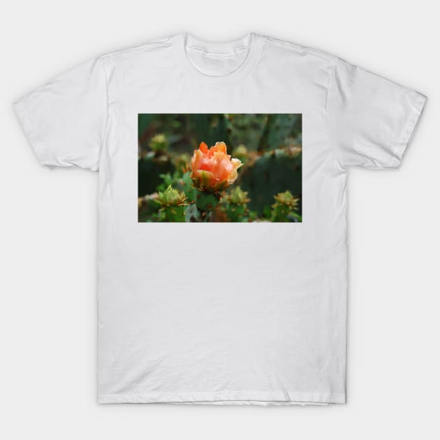 Orange Cactus Floral Blooms T-Shirt by Star58